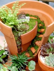 Natureworks Mini Garden